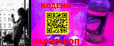 гашик Кингисепп