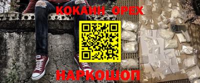 гашик Кингисепп