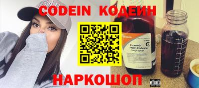 гашик Кингисепп