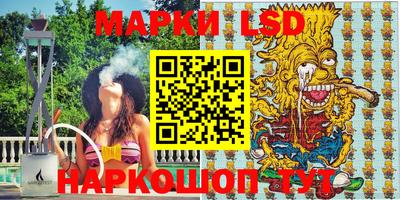 гашик Кингисепп