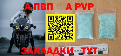 гашик Кингисепп