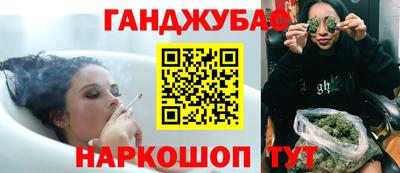 гашик Кингисепп