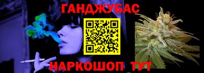 гашик Кингисепп