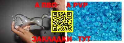 гашик Кингисепп