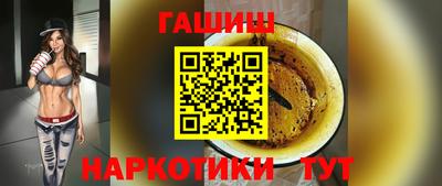 гашик Кингисепп