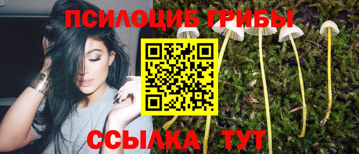 Псилоцибиновые грибы ЛСД Якутск